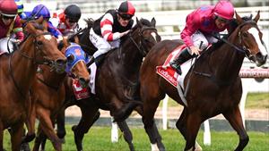 Punters miss Ollie pointer as Rose blooms